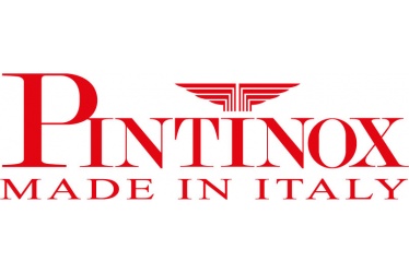 pintinox logo.jpg